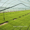 Vegetable greenhouse spray system